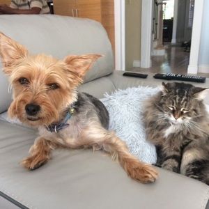 Meet your Posher, Mary